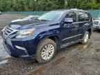 2017 LEXUS GX 460