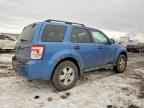 2010 FORD ESCAPE