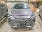 2023 LEXUS RX 350