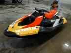 2024 Sea Doo Spark
