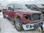 2010 FORD F-150 Lightning