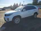 2014 KIA SORENTO