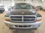 2004 DODGE Dakota