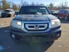 2011 HONDA PILOT
