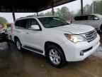 2010 LEXUS GX 460