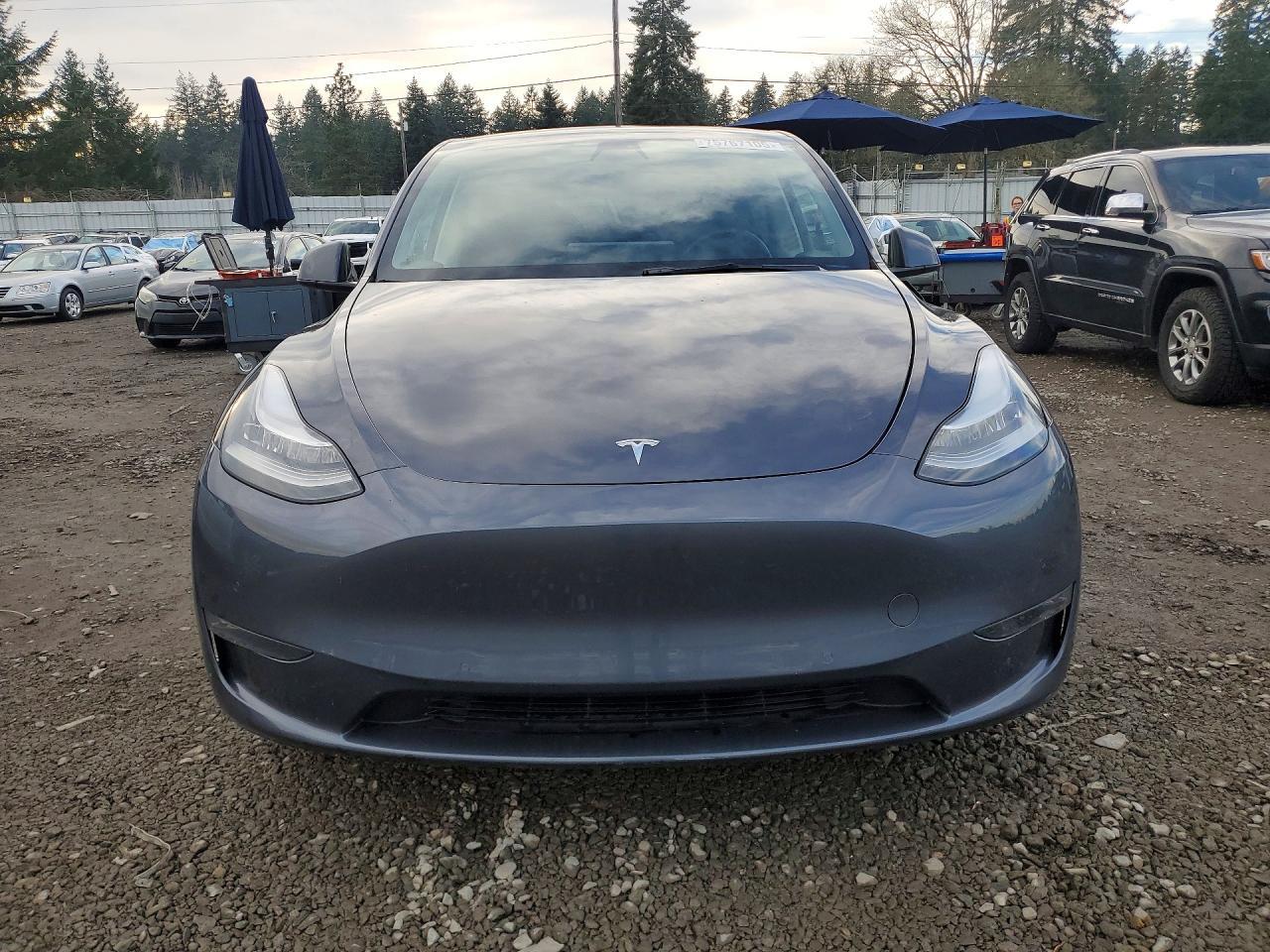 2021 TESLA MODEL Y