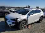 2019 LEXUS NX 300