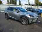 2021 LEXUS NX 300