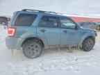 2010 FORD ESCAPE