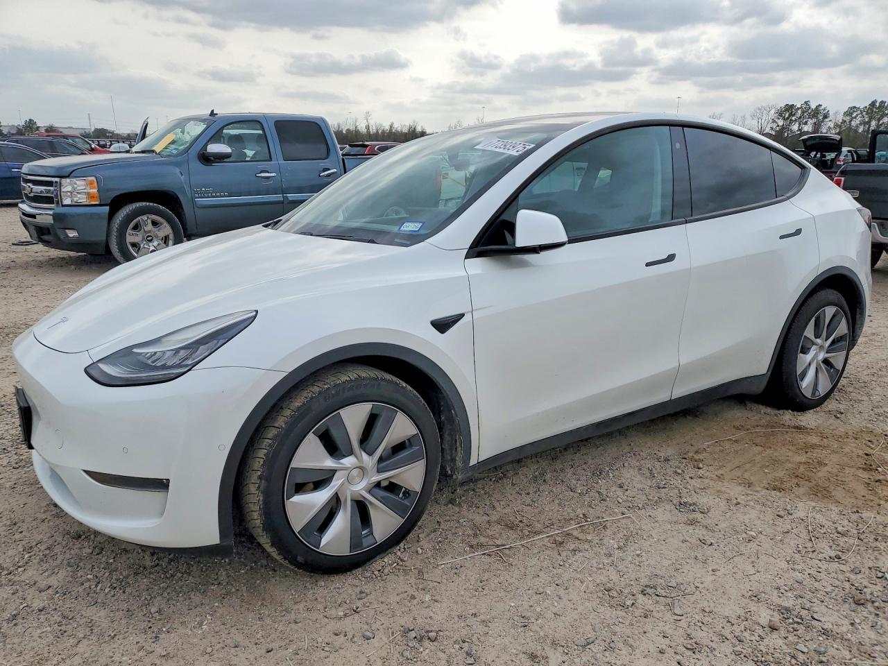 2020 TESLA MODEL Y
