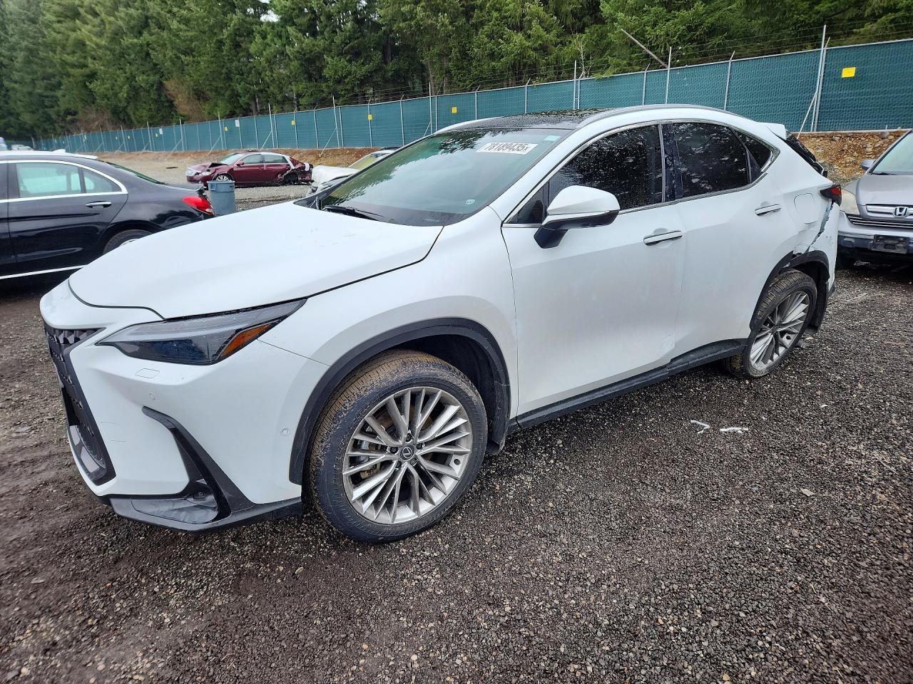 2026 LEXUS NX 350