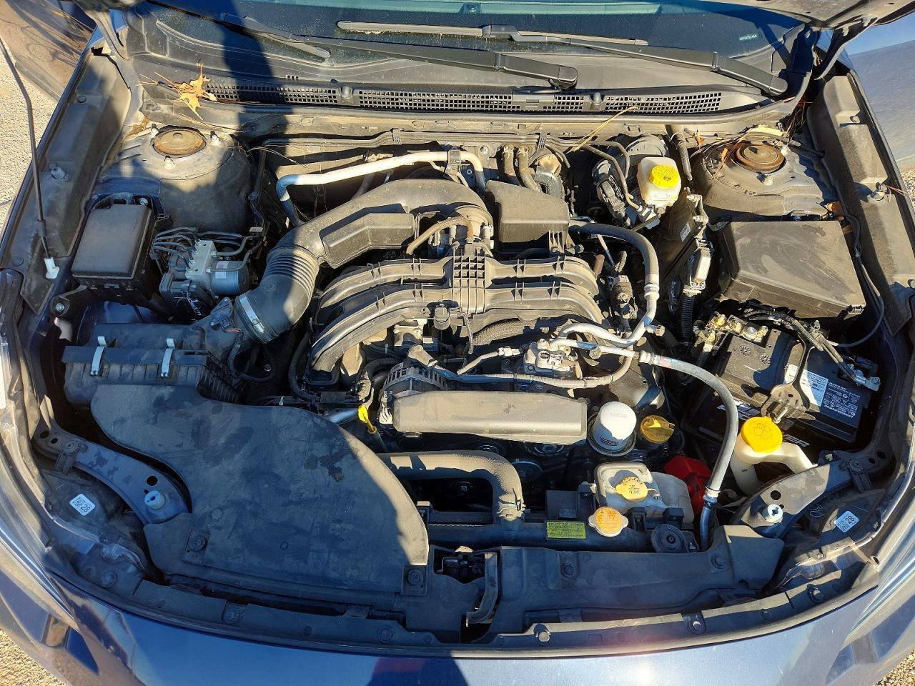 2024 SUBARU Outback