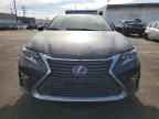 2017 LEXUS ES 300H