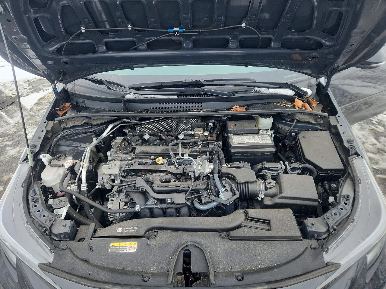 2024 TOYOTA COROLLA