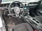 2023 FORD MUSTANG