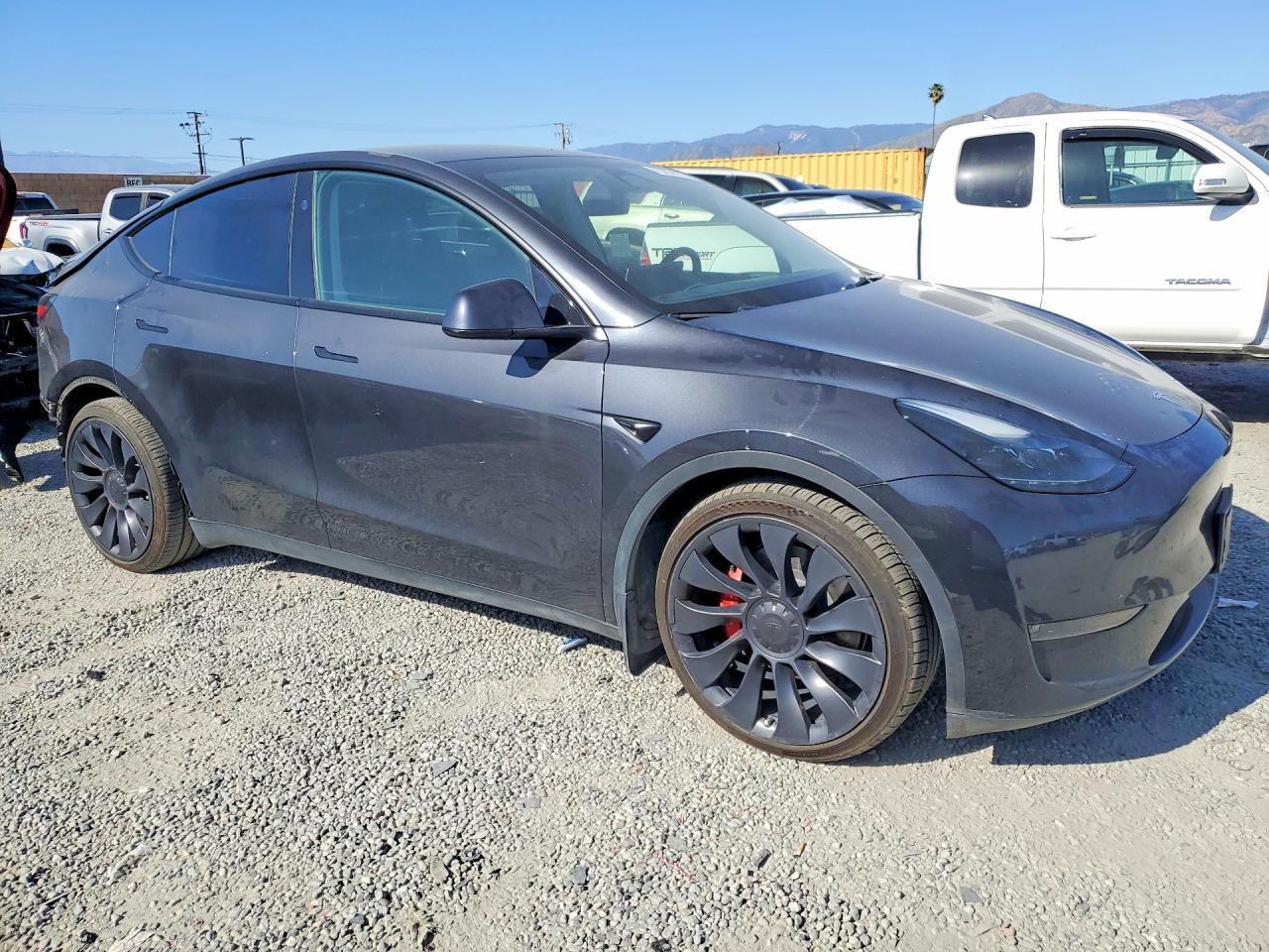 2024 TESLA MODEL Y