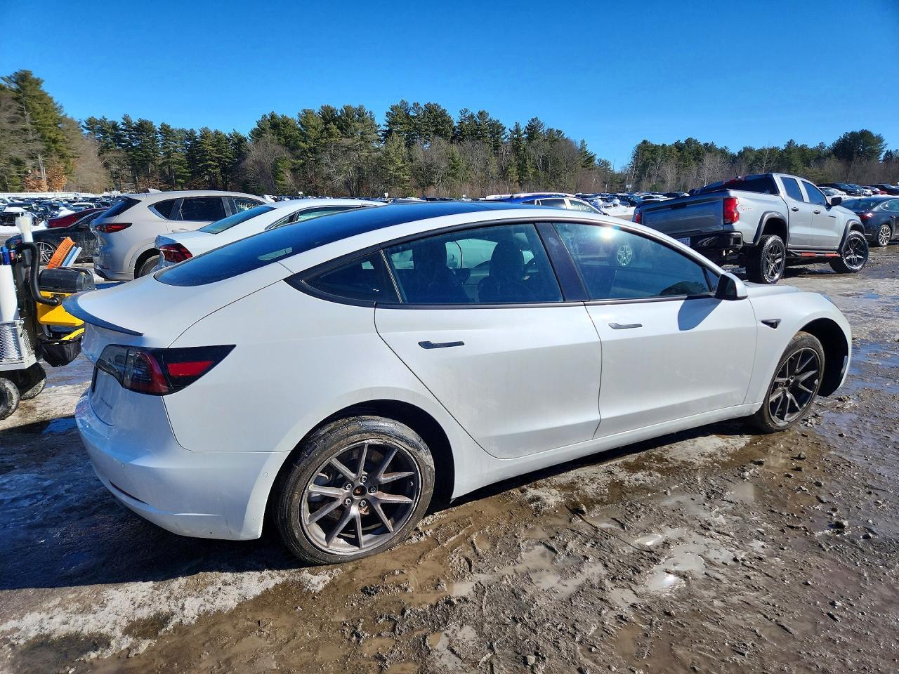 2021 TESLA MODEL 3