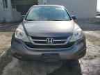 2010 HONDA CR-V