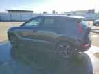 2026 KIA Niro