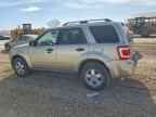 2010 FORD ESCAPE