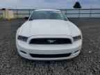 2013 FORD MUSTANG