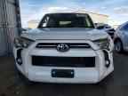 2024 TOYOTA 4Runner