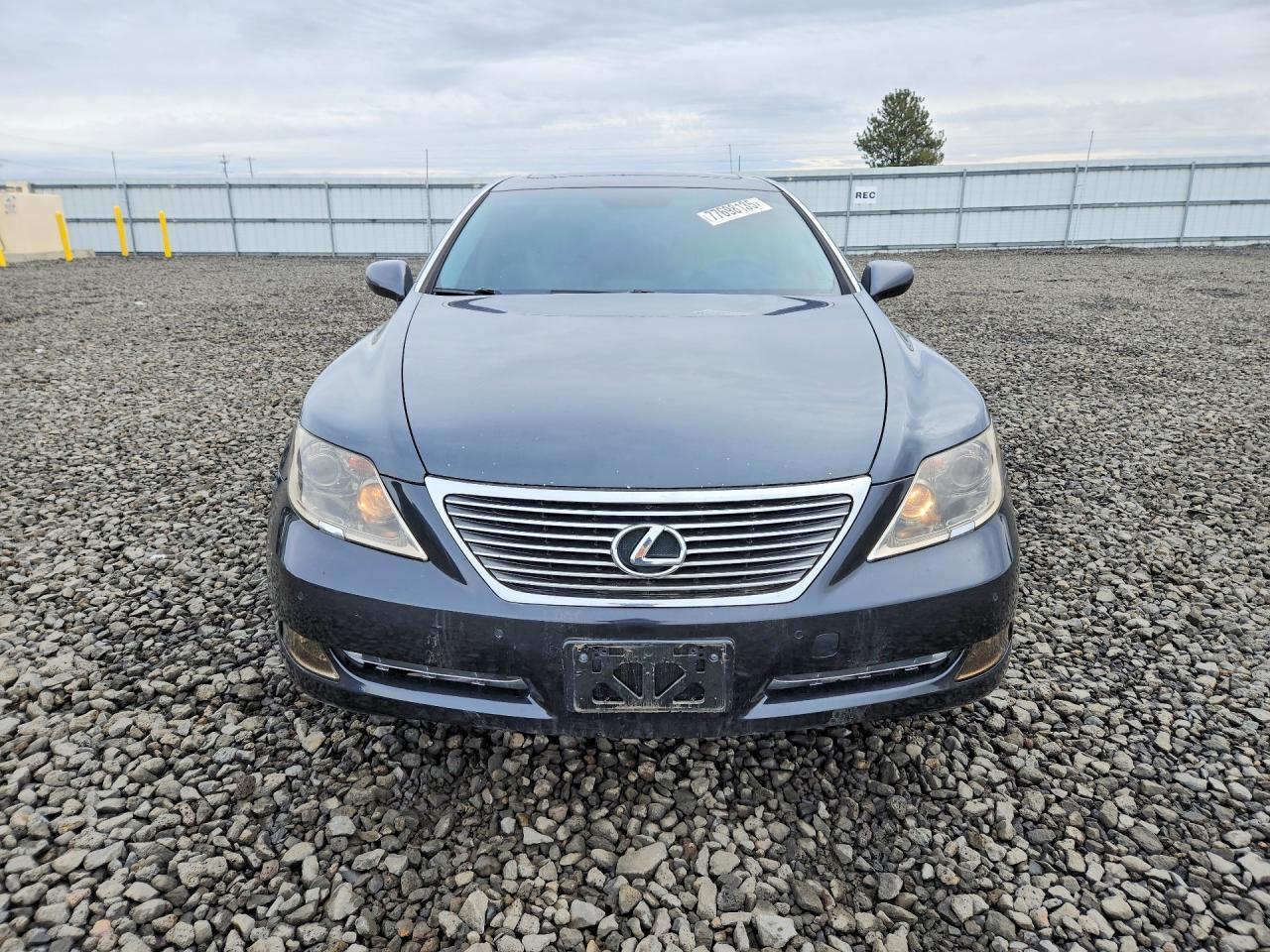 2009 LEXUS LS 460