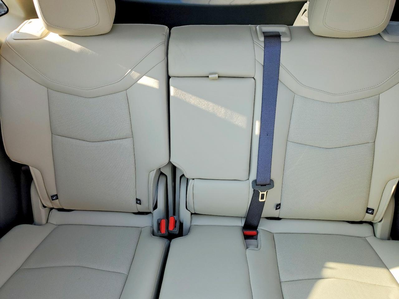 2025 CADILLAC XT5