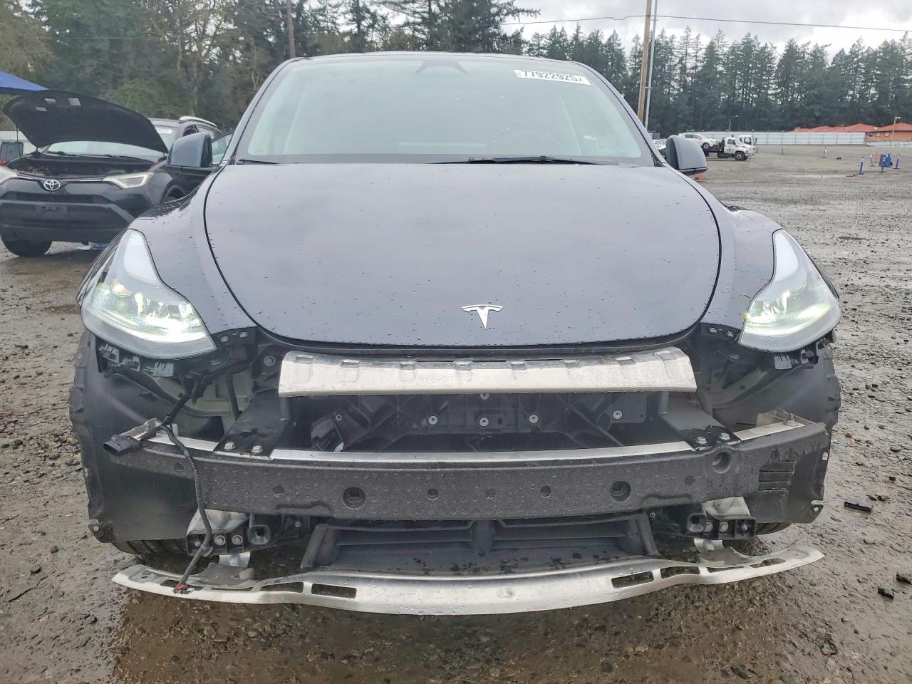 2025 TESLA MODEL Y
