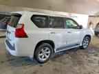 2013 LEXUS GX 460