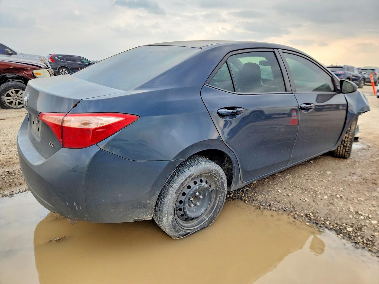 2019 TOYOTA COROLLA