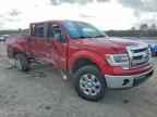 2014 FORD F-150 Lightning