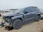 2025 TOYOTA Sequoia