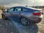 2019 HONDA Insight