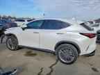 2025 LEXUS NX 350