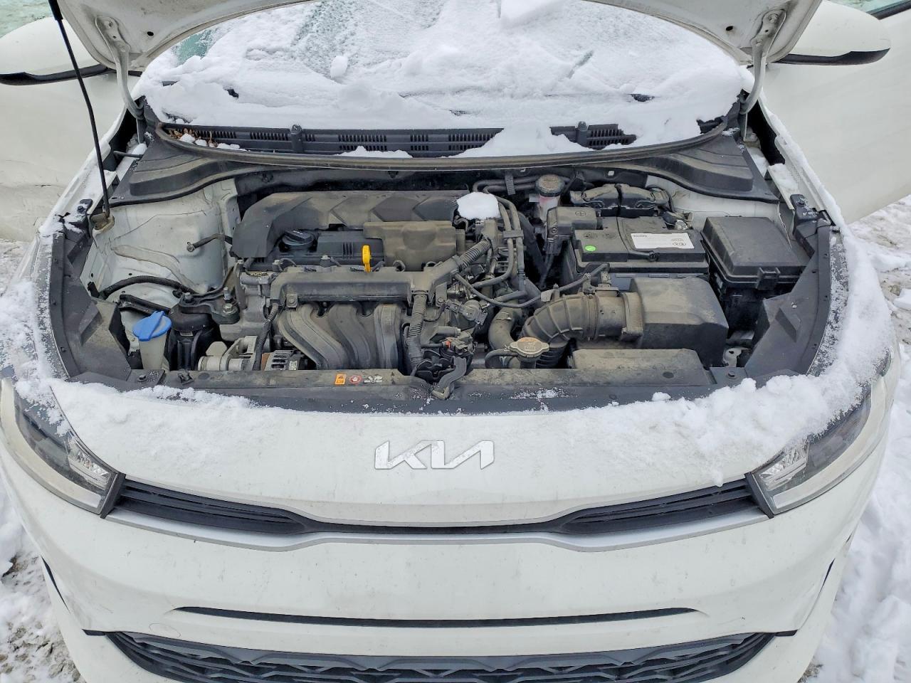 2022 KIA RIO