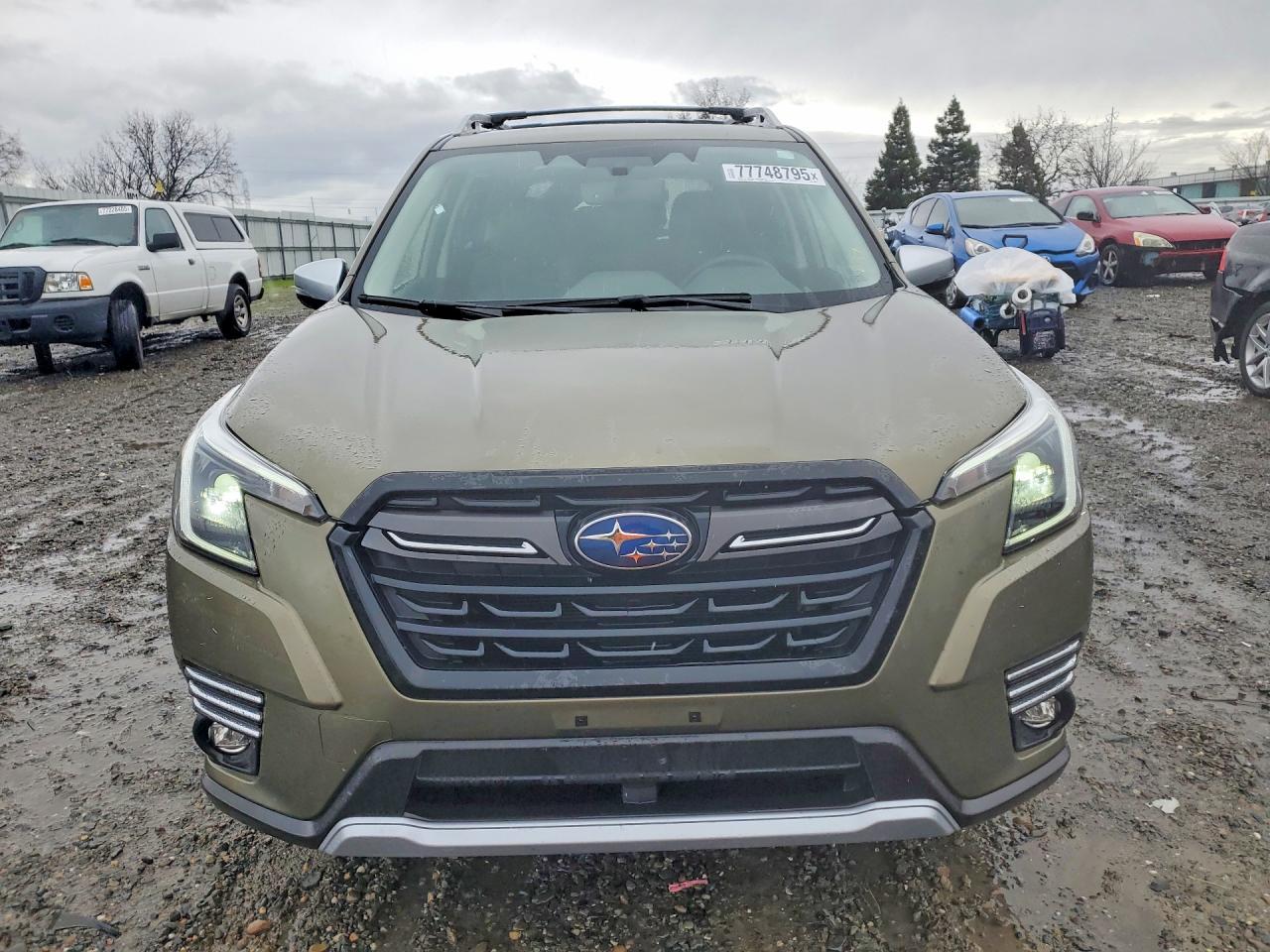 2024 SUBARU FORESTER
