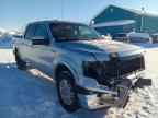 2010 FORD F-150 Lightning