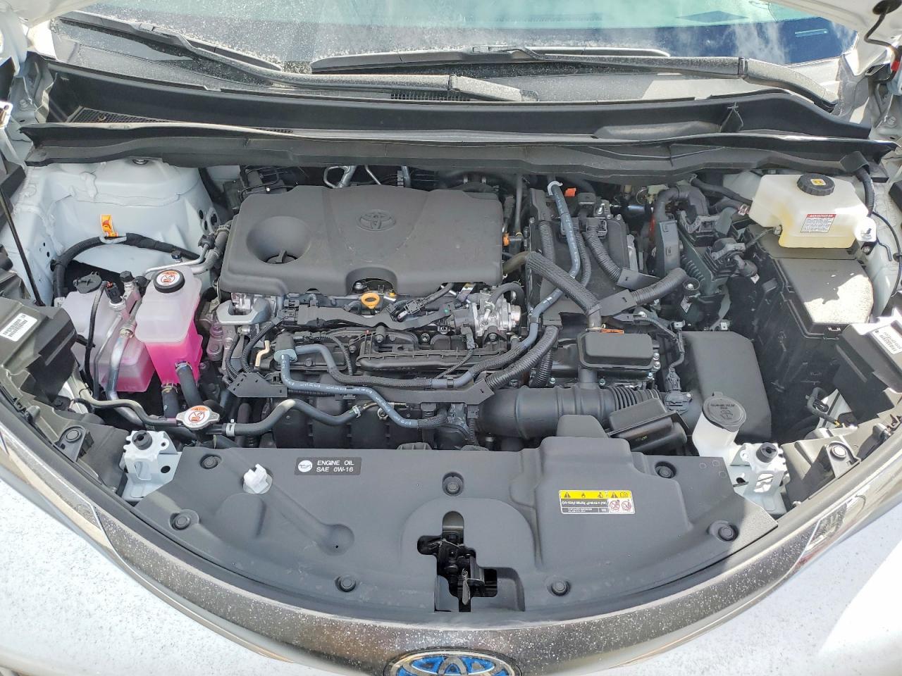 2025 TOYOTA SIENNA