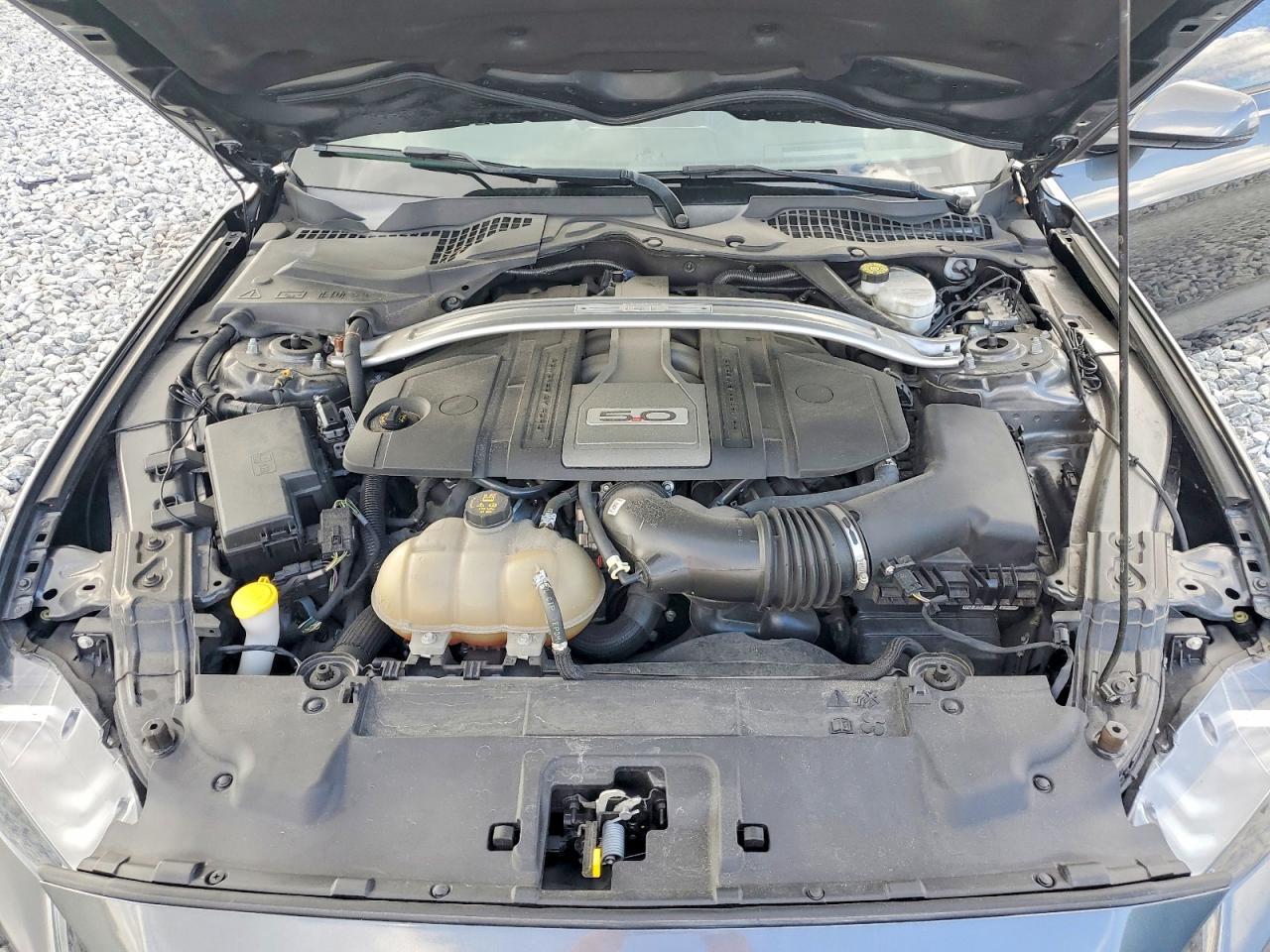 2019 FORD MUSTANG