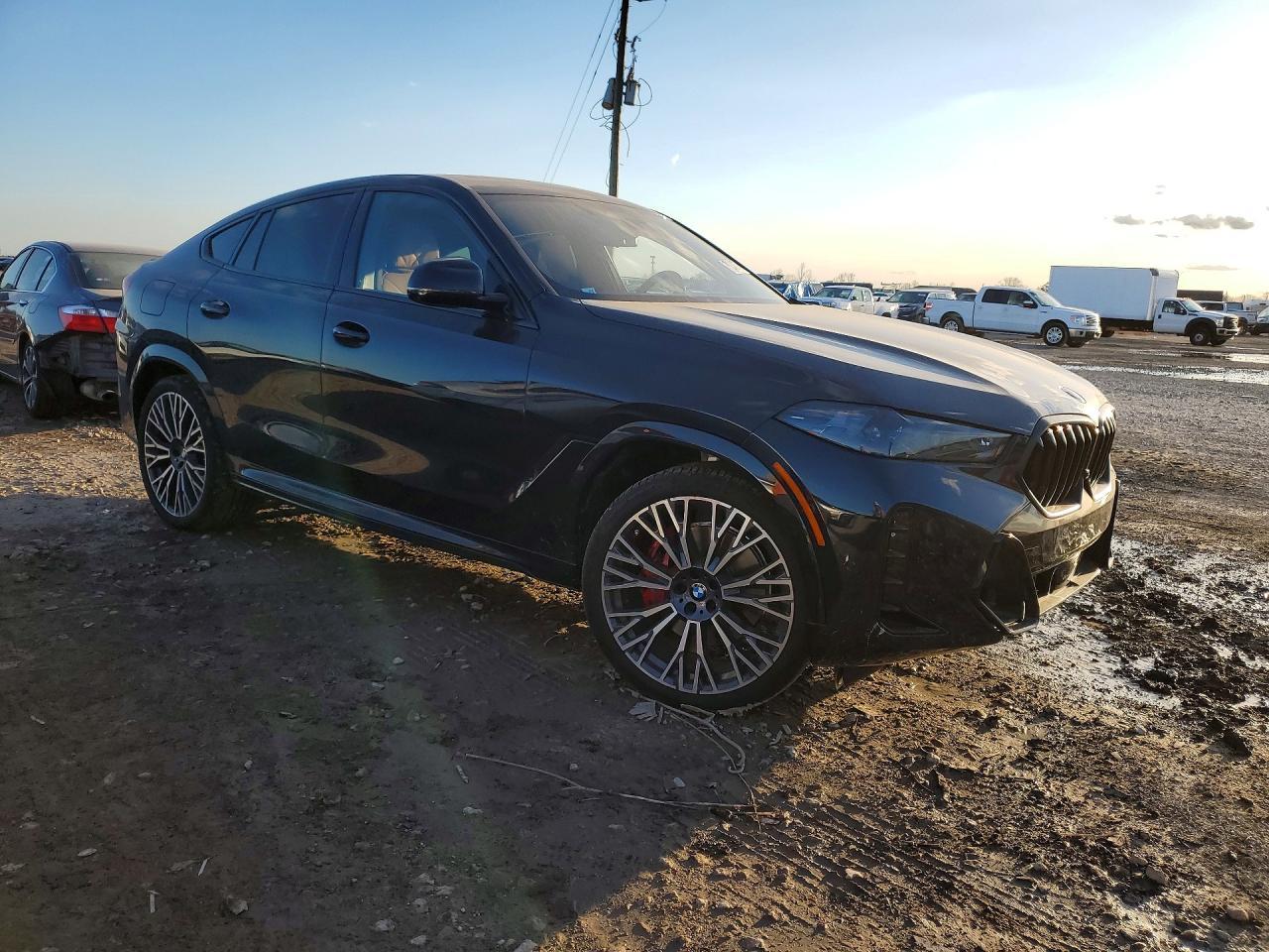 2026 BMW X6