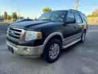 2010 FORD Expedition