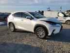 2019 LEXUS NX 300H