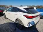 2024 LEXUS RX 350