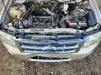 2010 FORD ESCAPE