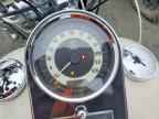2014 HARLEY-DAVIDSON FLSTN