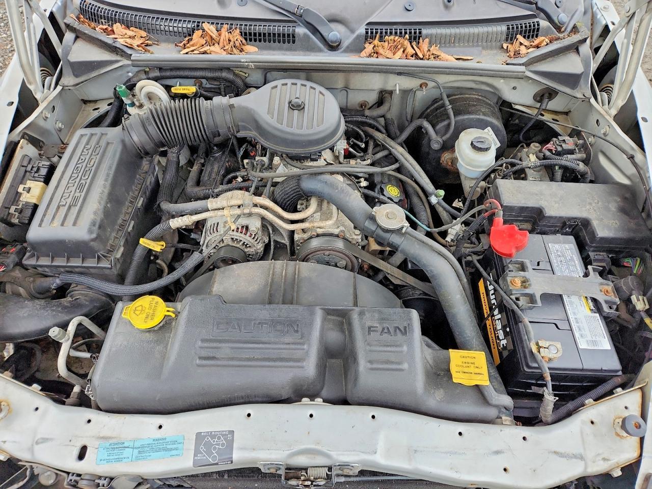 2001 DODGE Dakota