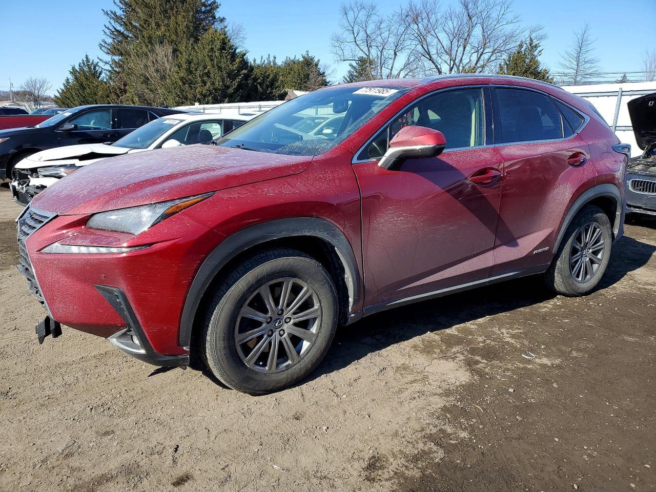 2019 LEXUS NX 300H