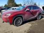 2019 LEXUS NX 300H