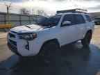 2024 TOYOTA 4Runner